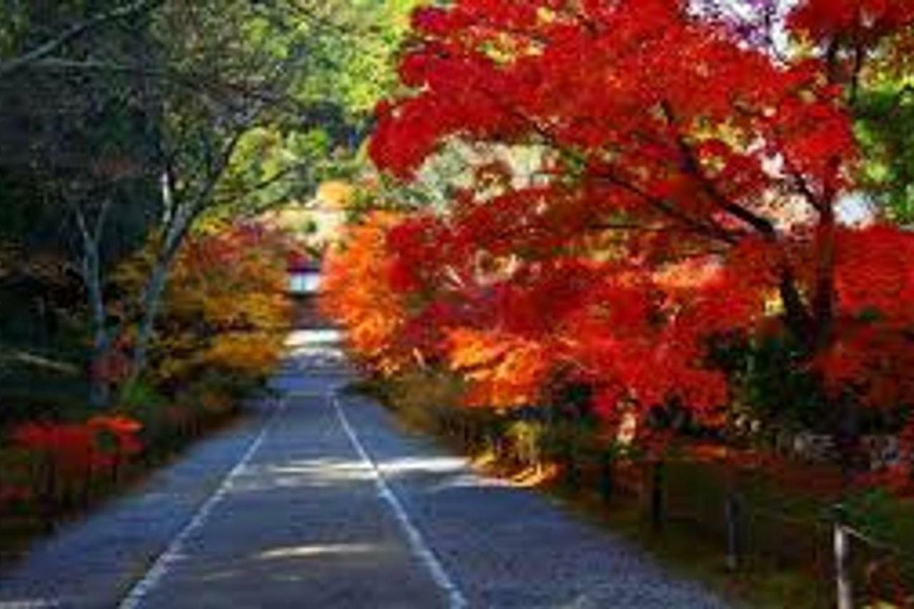 Close To Golden Temple -Kinkakuji- Kioto Exterior foto
